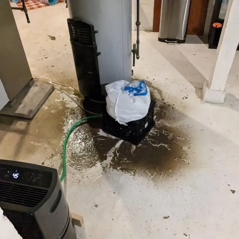 Sewage Backup Cleanup Service in Linn, MO